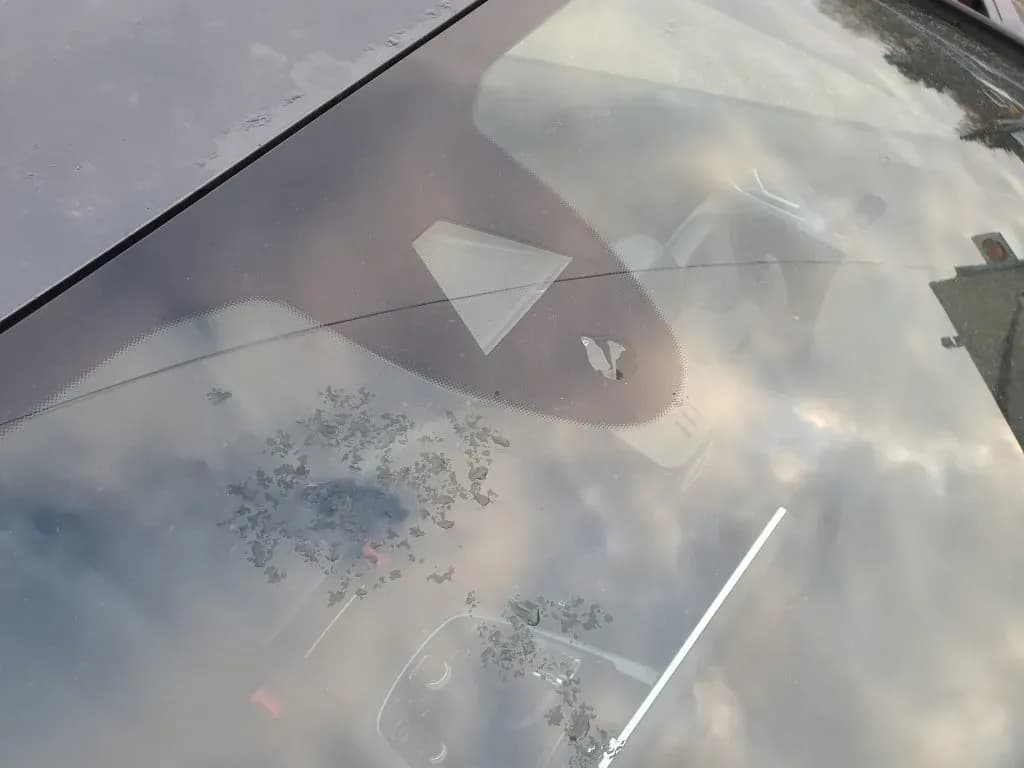 Foto des zerlegten Fahrzeugs 5