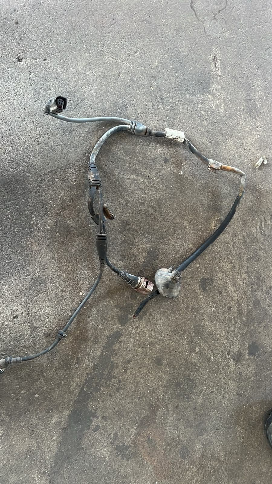 Andere Fahrzeugkabel AUDI A6 2008 - foto 1